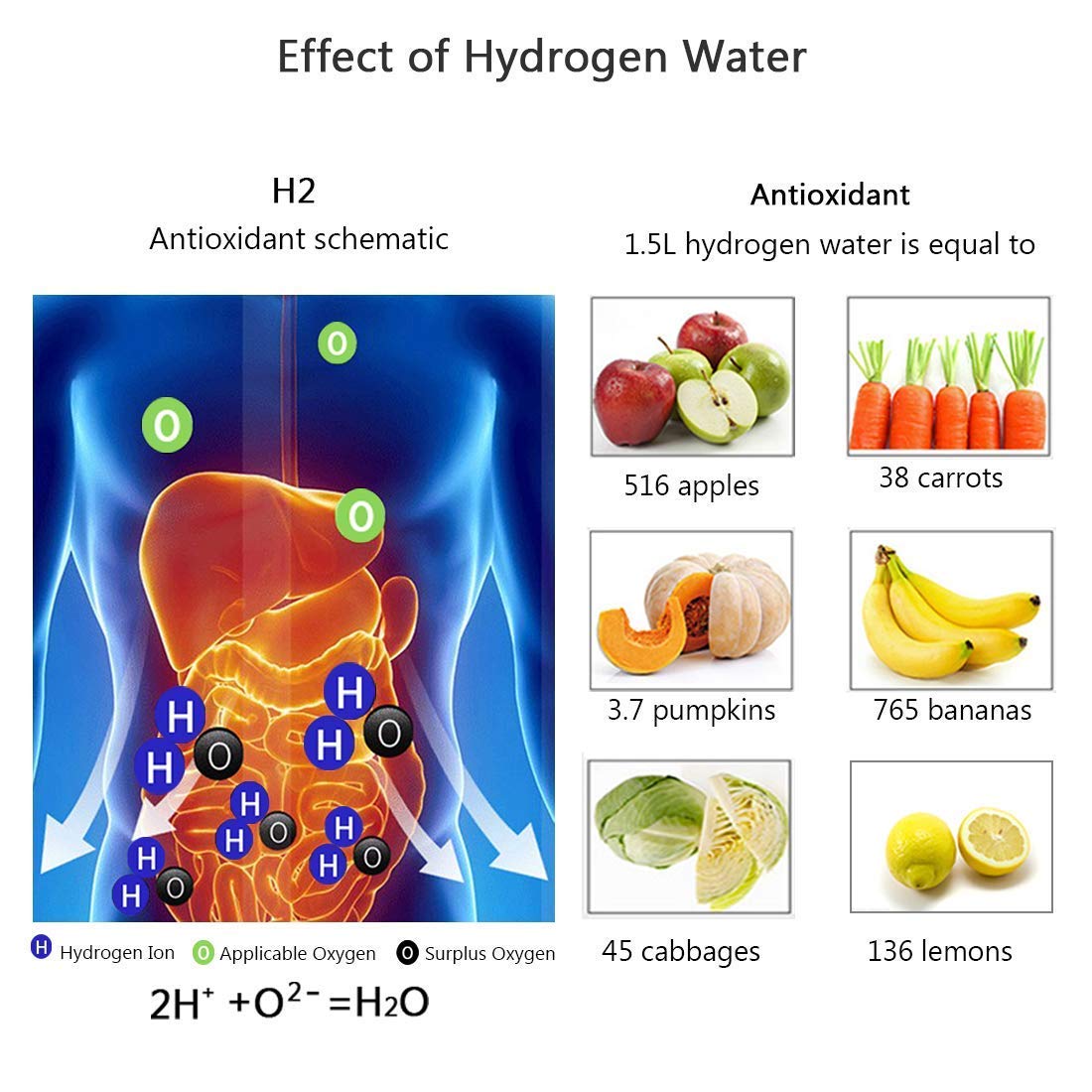 AESTROME™ - HYDROGEN BOTTLE